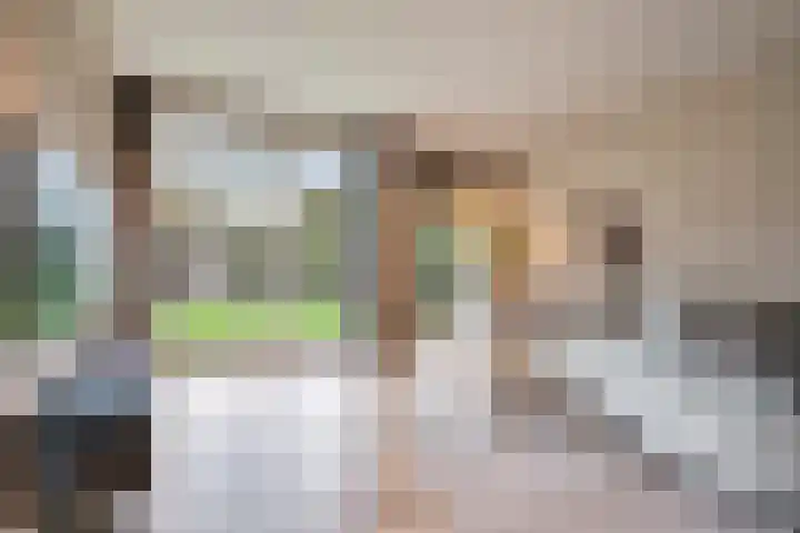 Bosrand 3 Boekel thumbnail 11