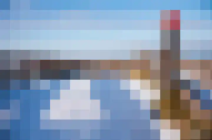 Bosrand 3 Boekel thumbnail 17