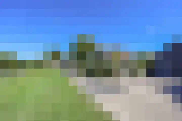 Bosrand 3 Boekel thumbnail 21