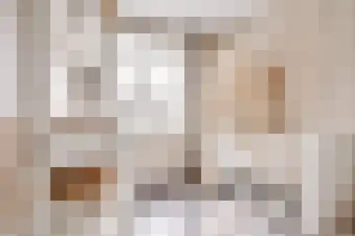 Bosrand 3 Boekel thumbnail 27