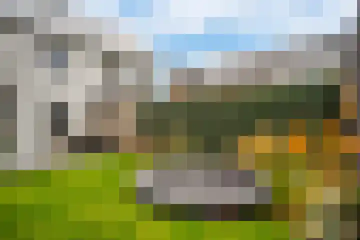 Bosrand 3 Boekel thumbnail 34
