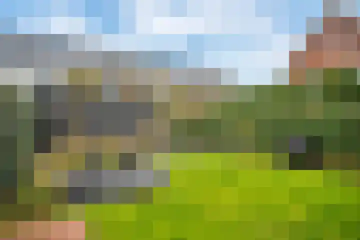 Bosrand 3 Boekel thumbnail 35