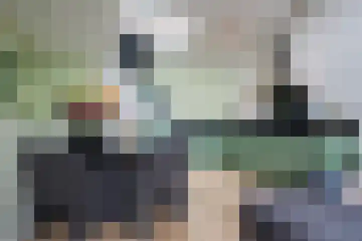 Bosrand 3 Boekel thumbnail 36