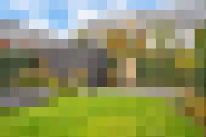Bosrand 3 Boekel thumbnail 36