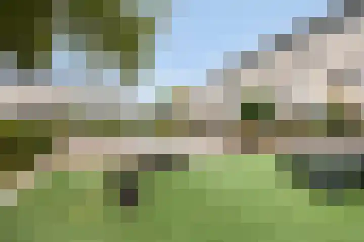 Bosrand 3 Boekel thumbnail 37