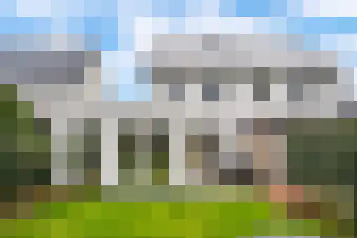 Bosrand 3 Boekel thumbnail 37