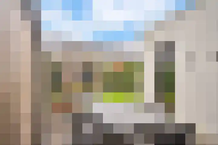 Bosrand 3 Boekel thumbnail 38