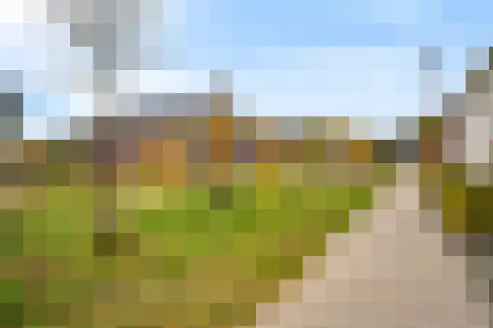 Bosrand 3 Boekel thumbnail 41