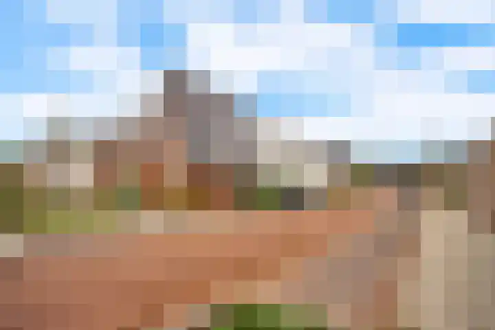 Bosrand 3 Boekel thumbnail 43