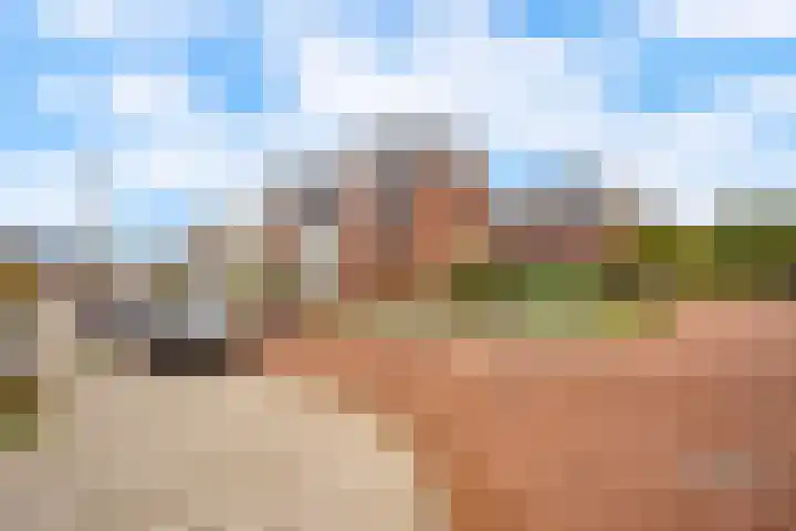 Bosrand 3 Boekel thumbnail 44