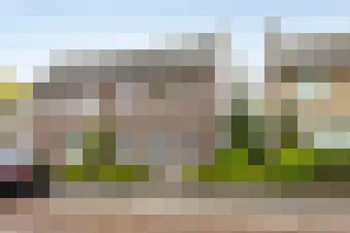 Bosrand 3 Boekel thumbnail 45