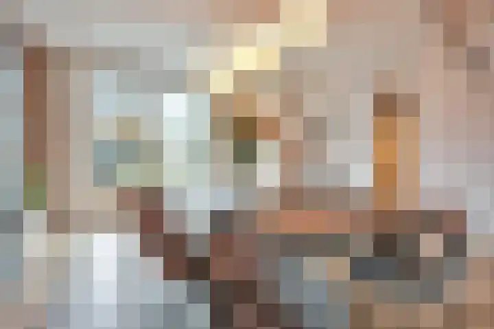 Bosrand 3 Boekel thumbnail 7