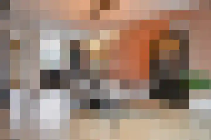 Bosrand 3 Boekel thumbnail 8