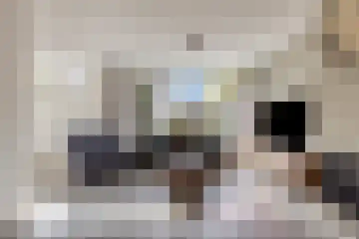 Bosrand 33 Geldrop thumbnail 11