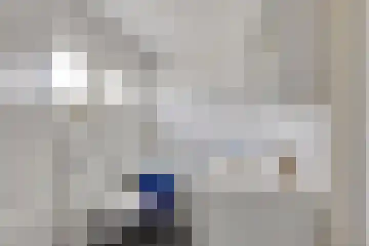 Bosrand 33 Geldrop thumbnail 22