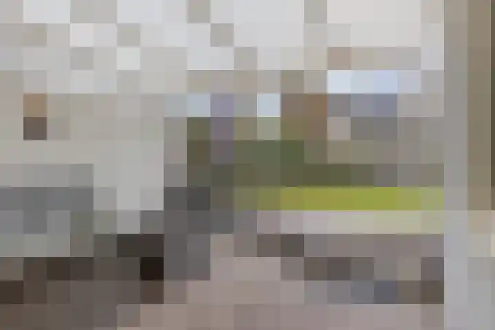 Bosrand 33 Geldrop thumbnail 35
