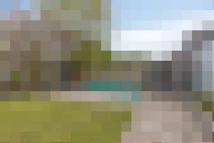 Bosrand 33 Geldrop thumbnail 36