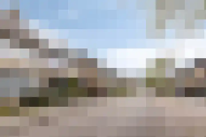 Bosrand 33 Geldrop thumbnail 39