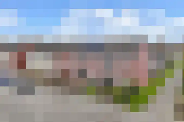 Bosrand 4 Ens thumbnail 11
