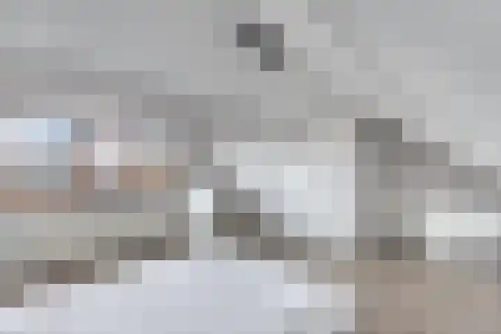 Bosrand 4 Ens thumbnail 42