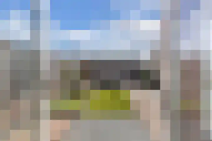 Bosrand 4 Ens thumbnail 43