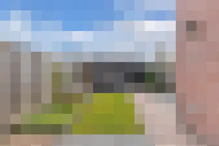 Bosrand 4 Ens thumbnail 44