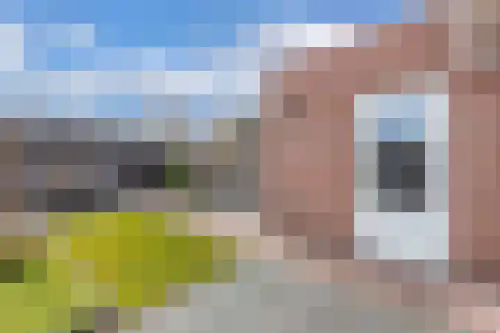 Bosrand 4 Ens thumbnail 45