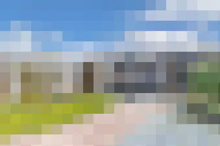 Bosrand 4 Ens thumbnail 46