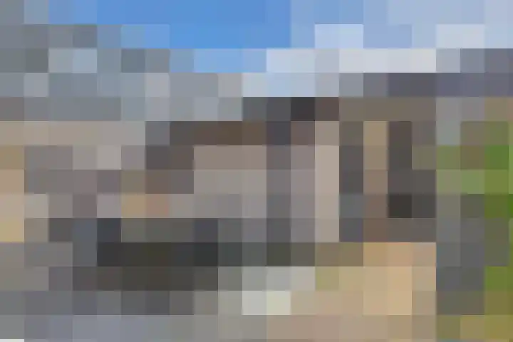 Bosrand 4 Ens thumbnail 48
