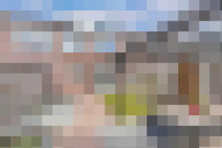 Bosrand 4 Ens thumbnail 49