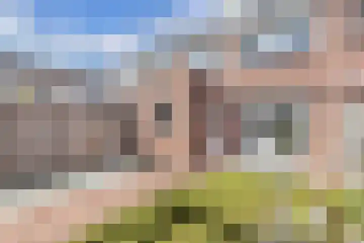 Bosrand 4 Ens thumbnail 51