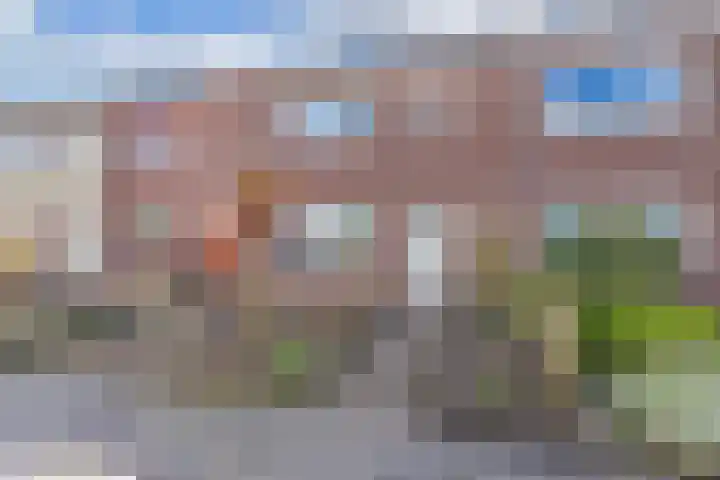 Bosrand 4 Ens thumbnail 7
