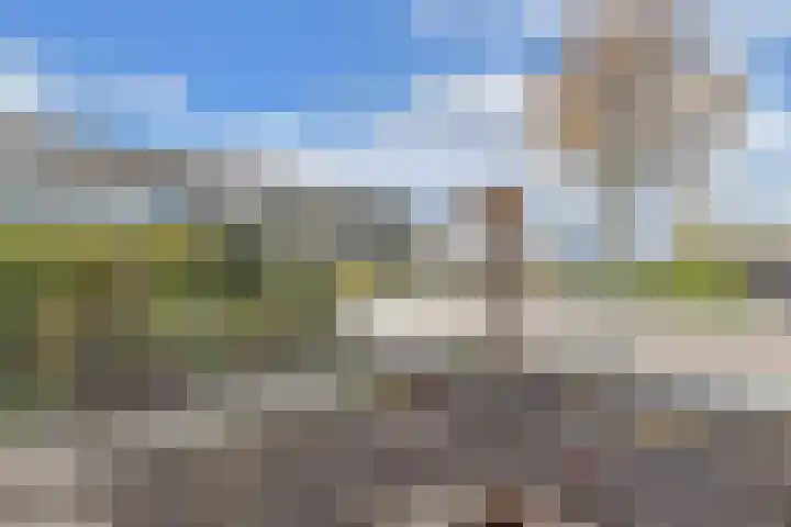Bosrand 4 Ens thumbnail 8