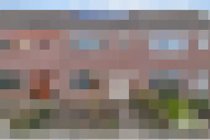 Bosrand 4 Ens thumbnail 9