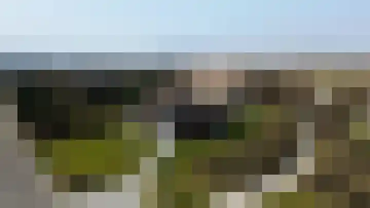 Bosrand 46 Buren