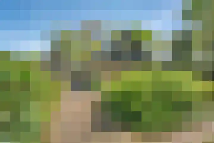 Bosrand 8 Dwingeloo thumbnail 10
