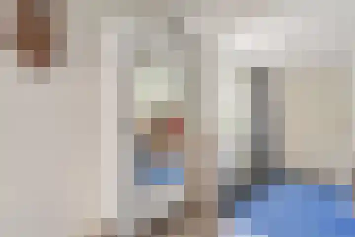 Bosrand 8 Dwingeloo thumbnail 12