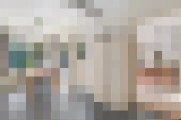 Bosrand 8 Dwingeloo thumbnail 16