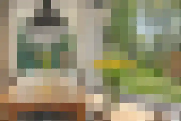 Bosrand 8 Dwingeloo thumbnail 17