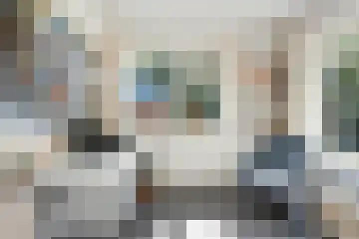 Bosrand 8 Dwingeloo thumbnail 18