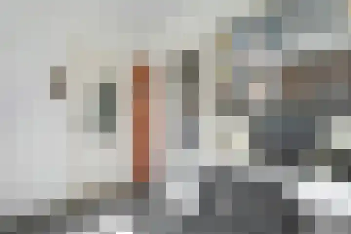 Bosrand 8 Dwingeloo thumbnail 19
