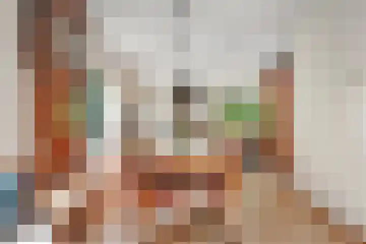 Bosrand 8 Dwingeloo thumbnail 22