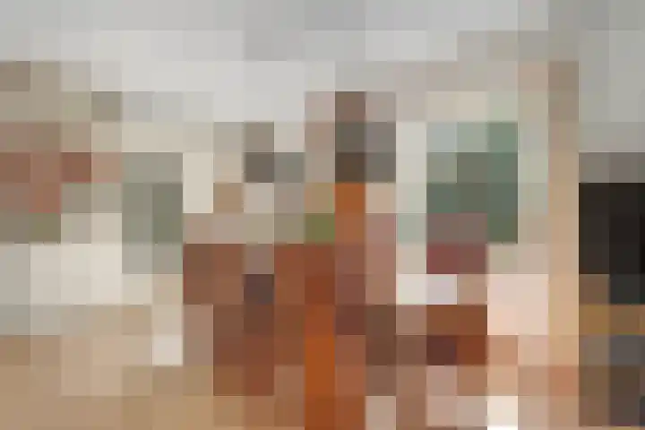 Bosrand 8 Dwingeloo thumbnail 23