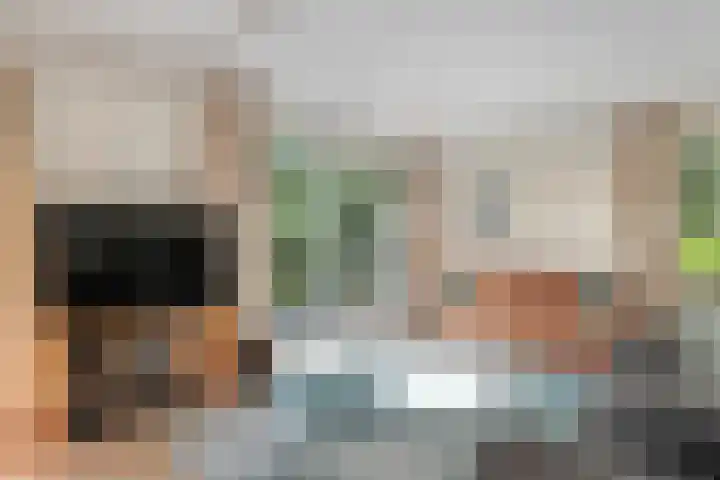 Bosrand 8 Dwingeloo thumbnail 24