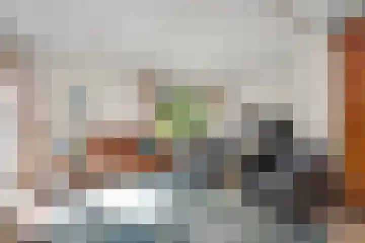 Bosrand 8 Dwingeloo thumbnail 25