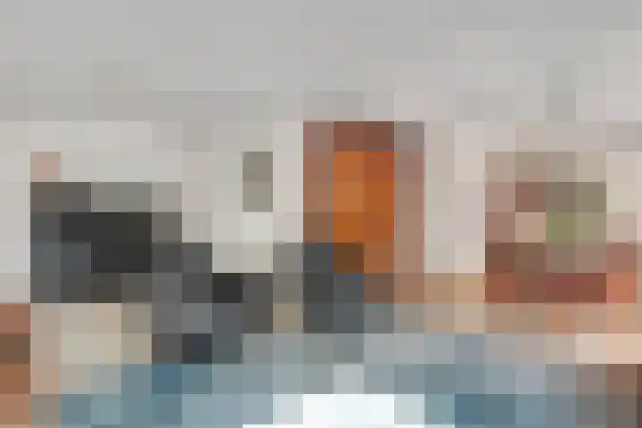 Bosrand 8 Dwingeloo thumbnail 26