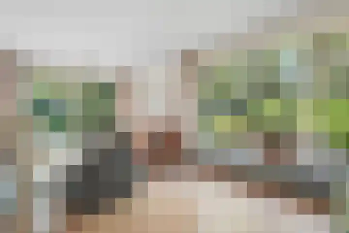 Bosrand 8 Dwingeloo thumbnail 27