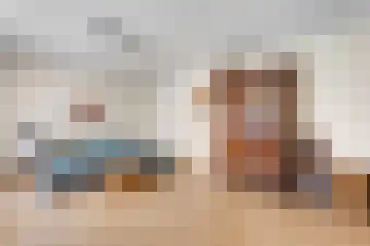 Bosrand 8 Dwingeloo thumbnail 28