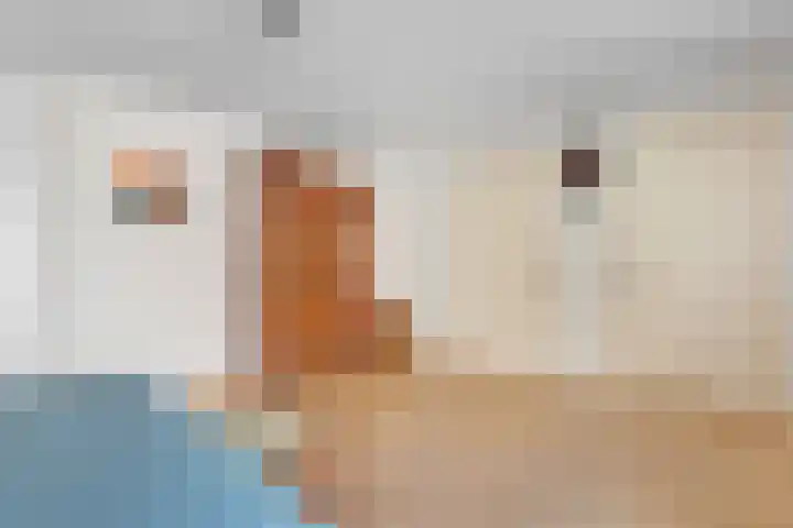 Bosrand 8 Dwingeloo thumbnail 29