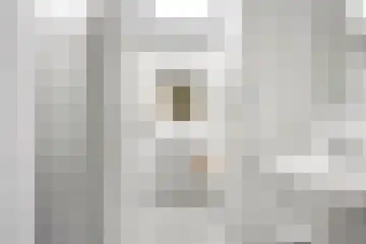 Bosrand 8 Dwingeloo thumbnail 30